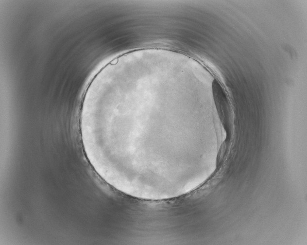 X0000115330816200912141218