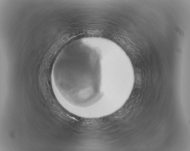 X0000115330817200912141217