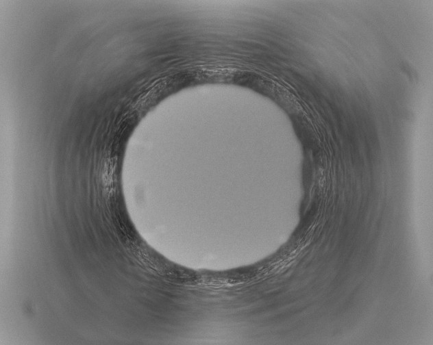 X0000115330818200912141217