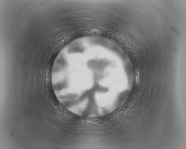 X0000115330819200912141217