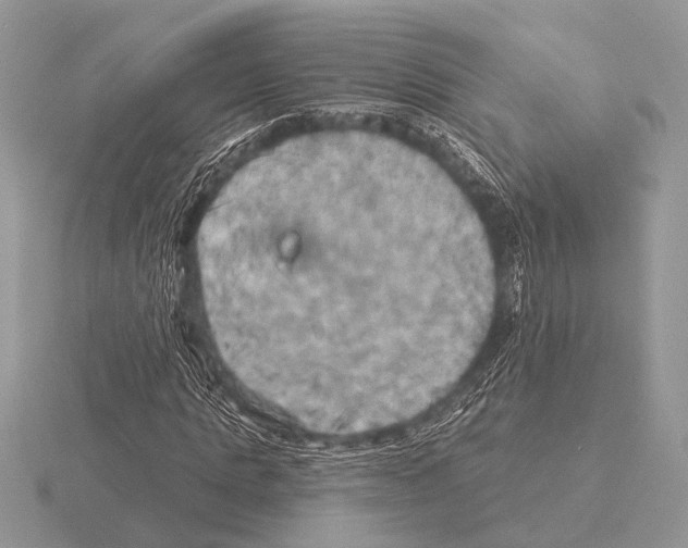 X0000115330821200912141217