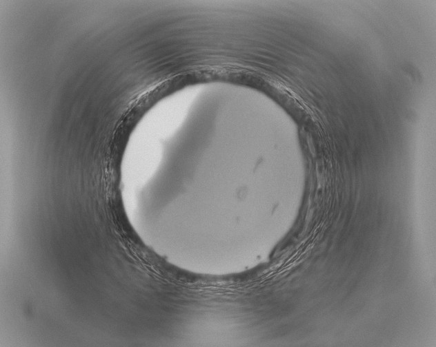 X0000115330822200912141217