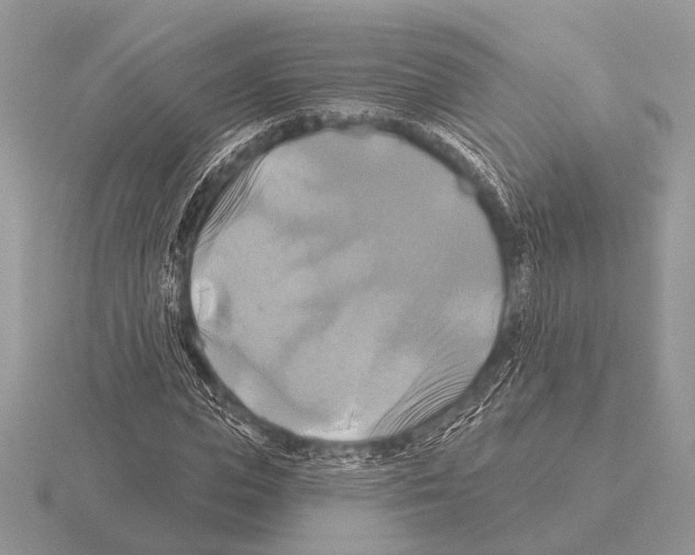 X0000115330823200912141217