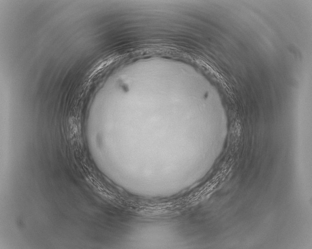 X0000115330824200912141217