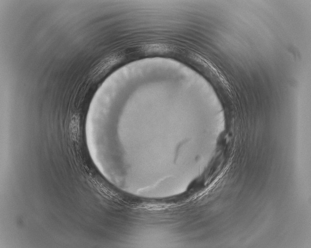 X0000115330825200912141217