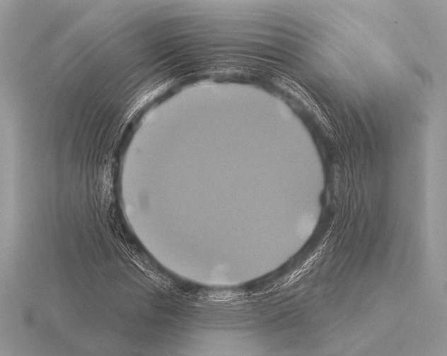 X0000115330826200912141217