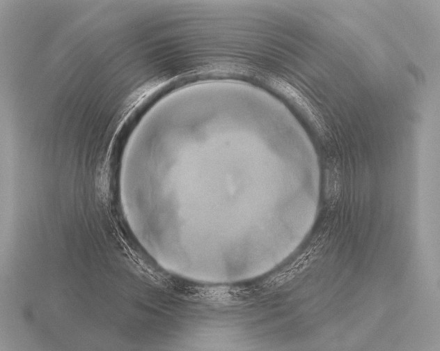 X0000115330828200912141217