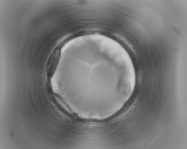 X0000115330829200912141217