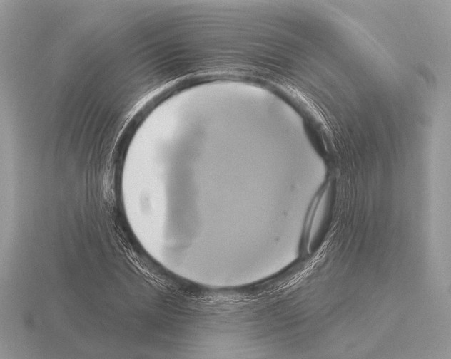 X0000115330830200912141217