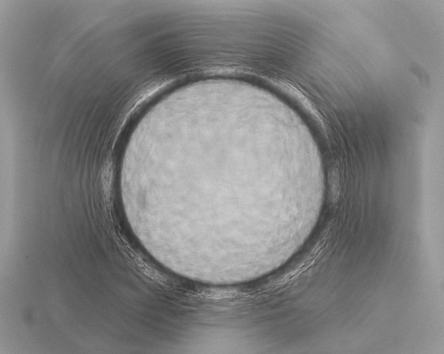 X0000115330831200912141217