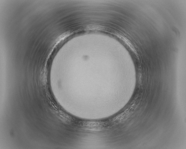 X0000115330832200912141217