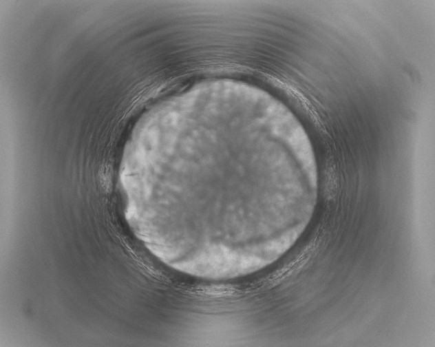 X0000115330833200912141217