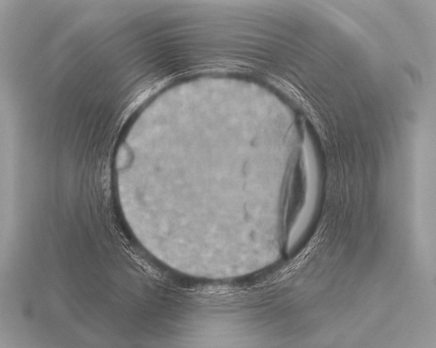 X0000115330834200912141217