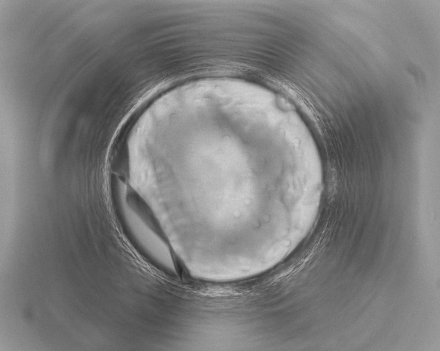 X0000115330835200912141217