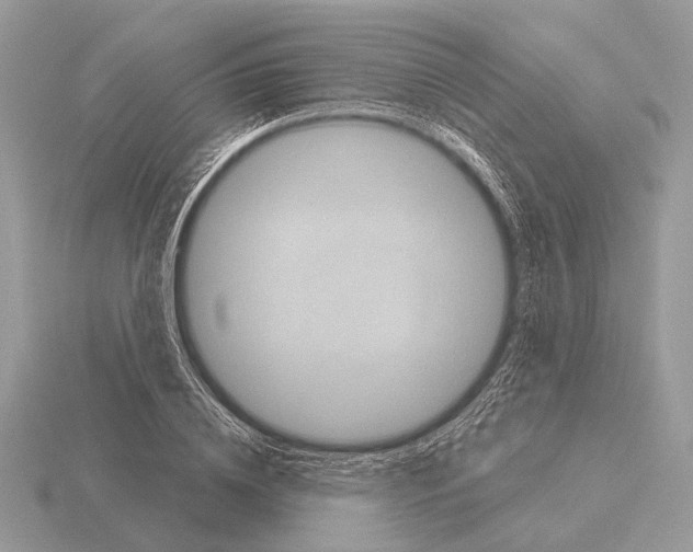 X0000115330836200912141217