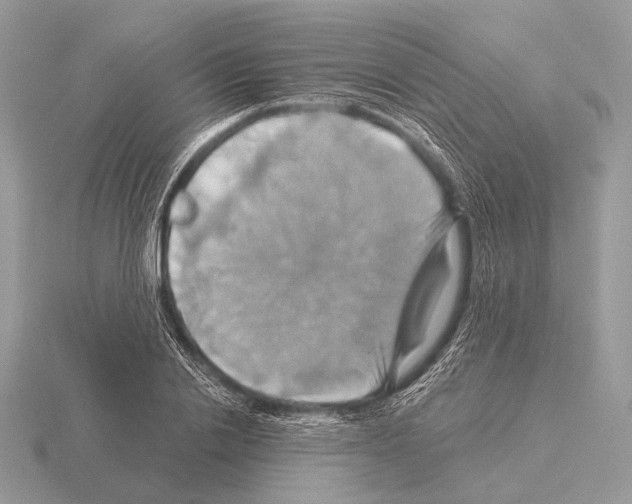 X0000115330838200912141217