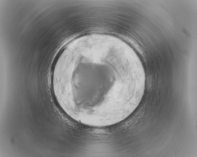 X0000115330839200912141217