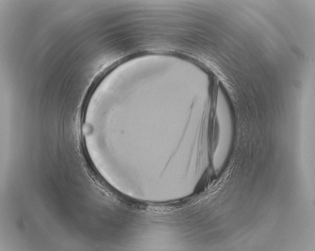 X0000115330840200912141217