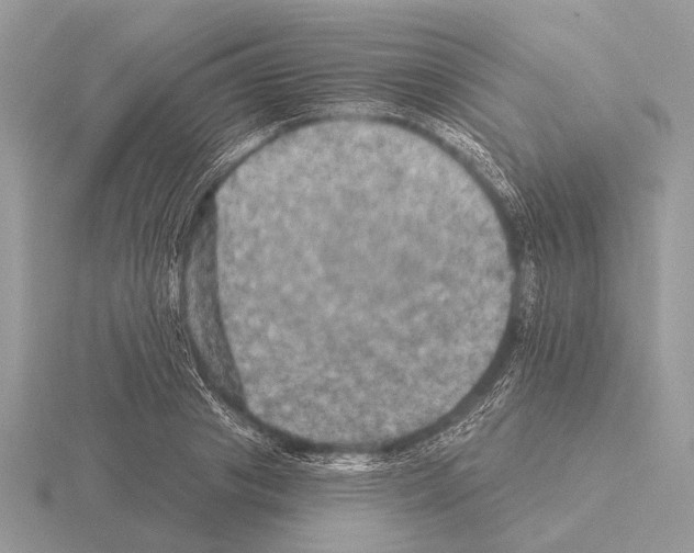 X0000115330841200912141217