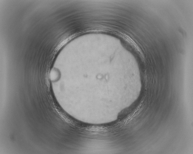 X0000115330842200912141217