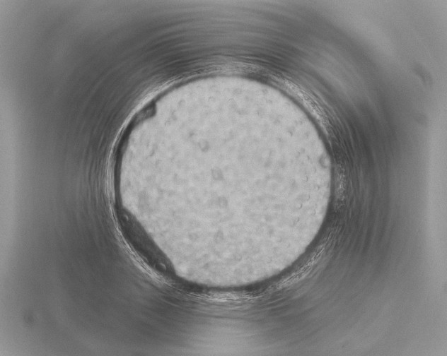 X0000115330843200912141217