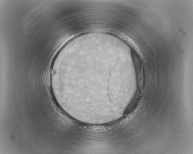 X0000115330844200912141217