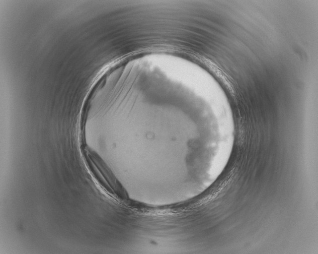 X0000115330845200912141217