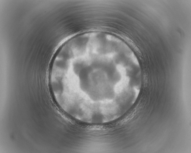 X0000115330846200912141217