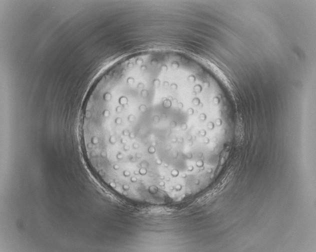 X0000115330847200912141217