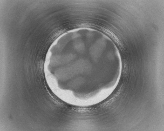 X0000115330849200912141217