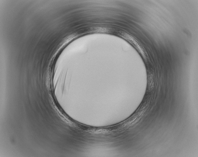 X0000115330851200912141217