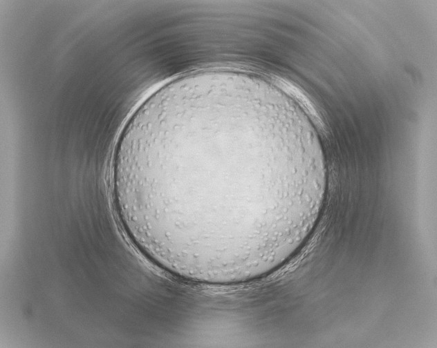 X0000115330852200912141217