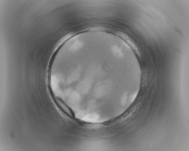 X0000115330853200912141217