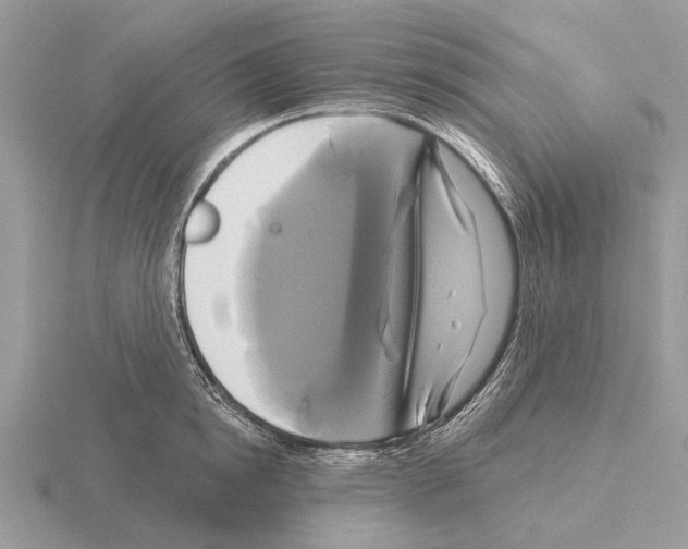 X0000115330854200912141217