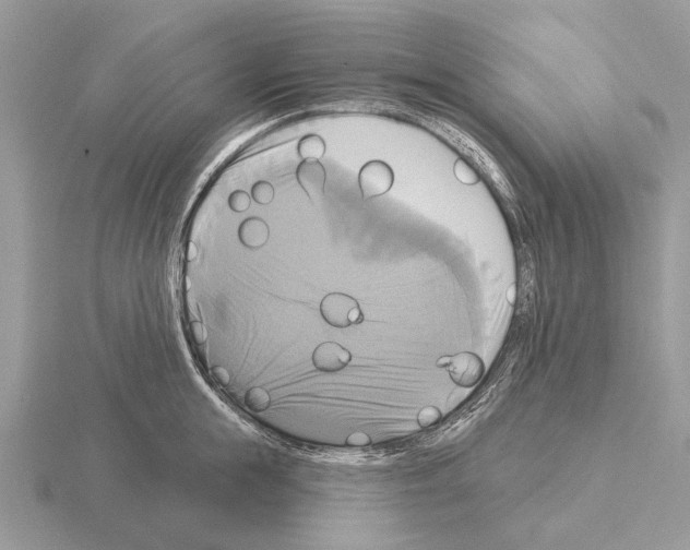 X0000115330855200912141217