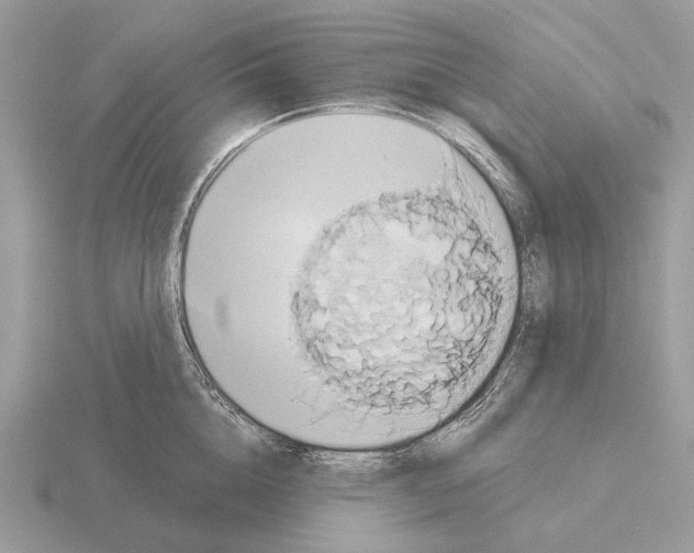 X0000115330856200912141217