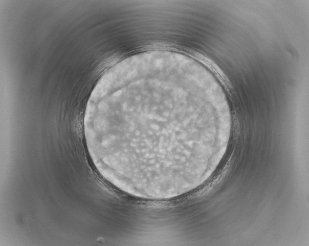 X0000115330857200912141217