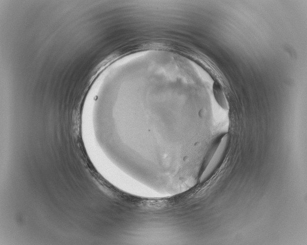 X0000115330858200912141217