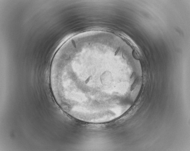 X0000115330860200912141217