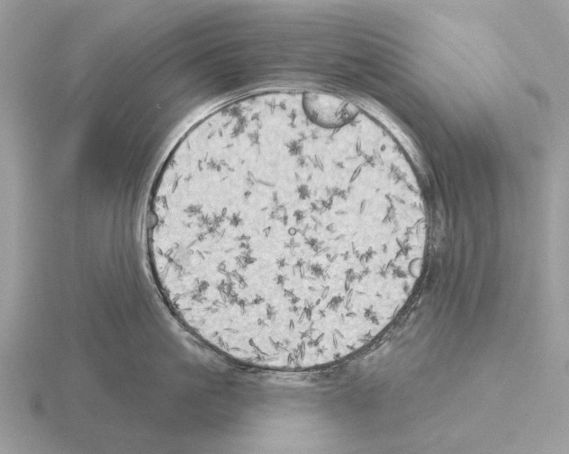 X0000115330861200912141217