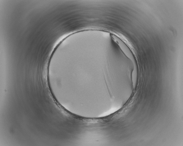 X0000115330862200912141217