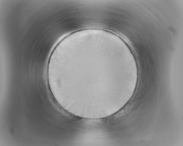 X0000115330864200912141218