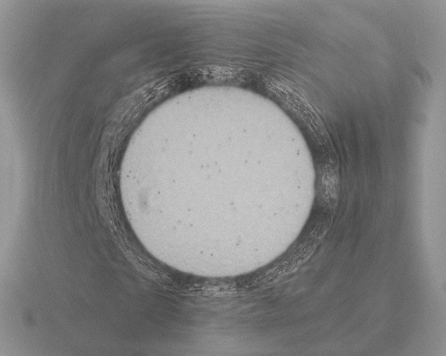 X0000115330865200912141217