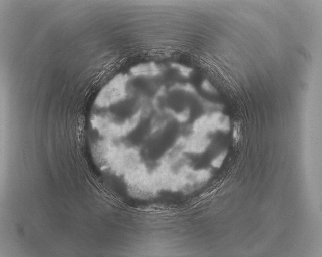 X0000115330867200912141217