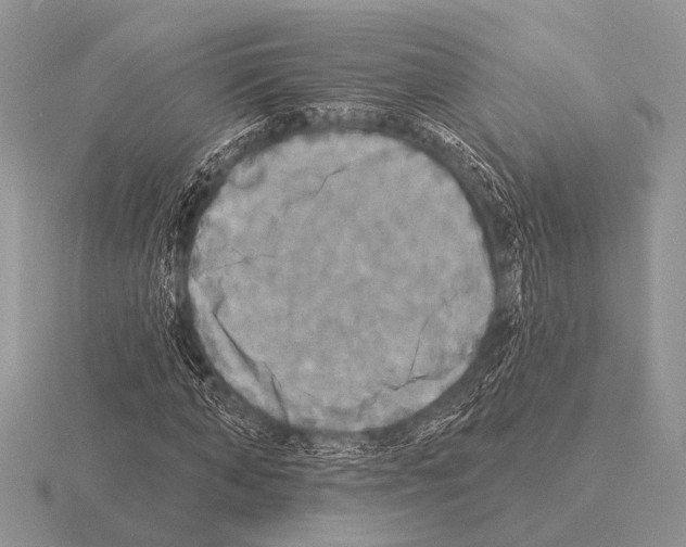 X0000115330870200912141217