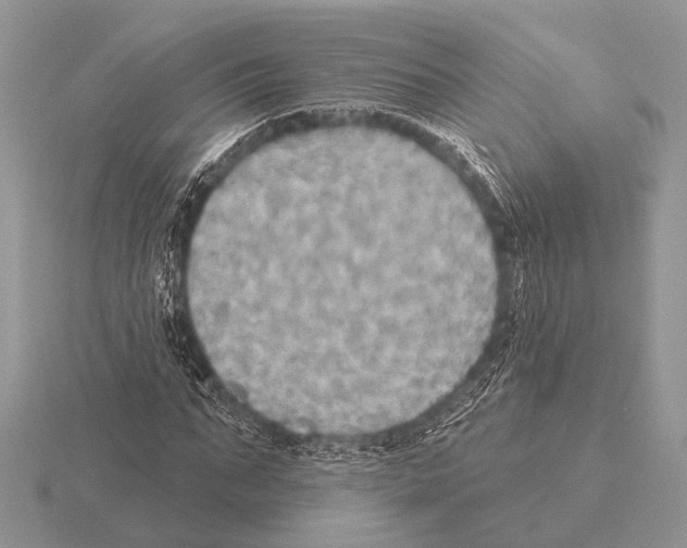 X0000115330871200912141217