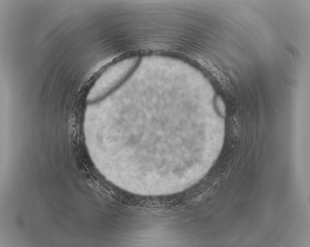 X0000115330872200912141217