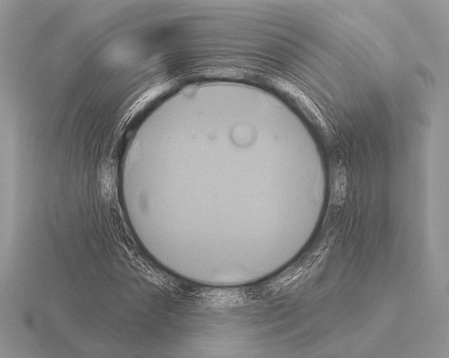 X0000115330874200912141217