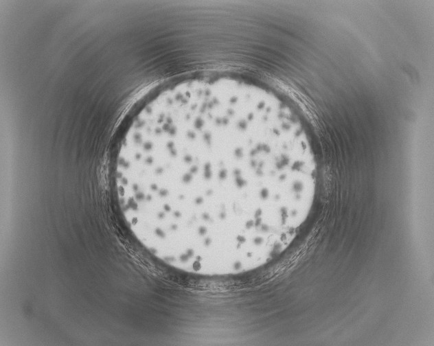 X0000115330875200912141217