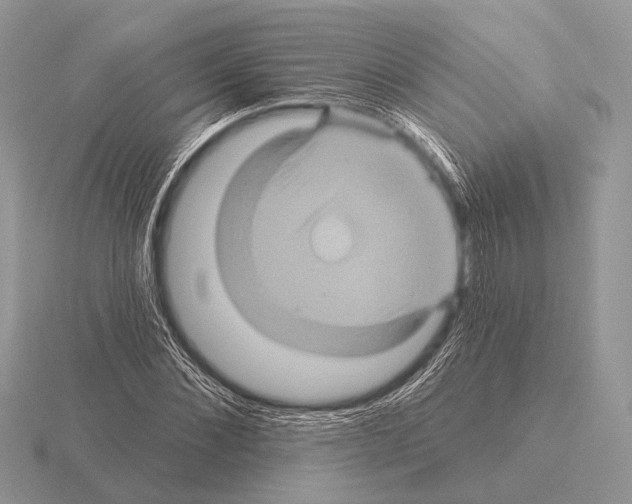 X0000115330876200912141217